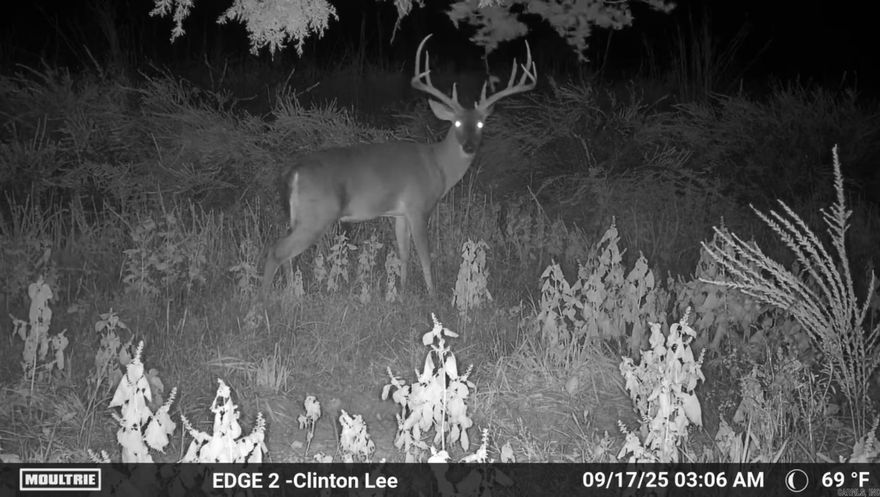 120 +/- acres of incredible Van Buren County acreage. It has paved road frontage to the gate along with public water, electric, and fiber internet at the road. There are excellent roads throughout this tract and a small creek. You can see the deer quality in the pictures is incredible and from my experience on this farm in past years, both bear and turkeys are no strangers to this tract. Whether you're looking for a place to build a home/cabin or simply an excellent hunting tract with great access, this one will check your boxes.