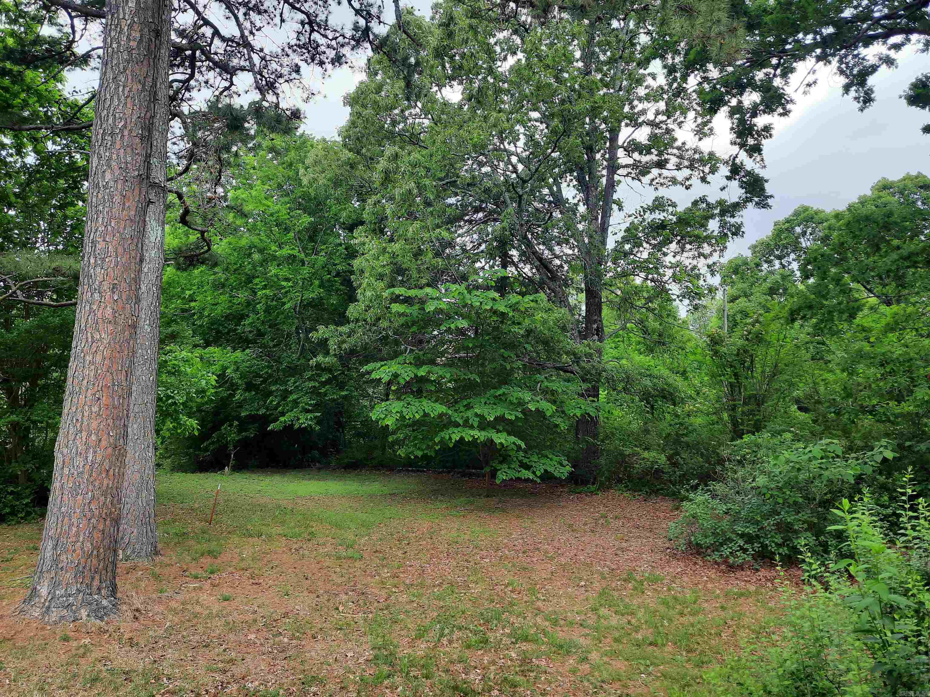DAVE BLEVINS - Residential