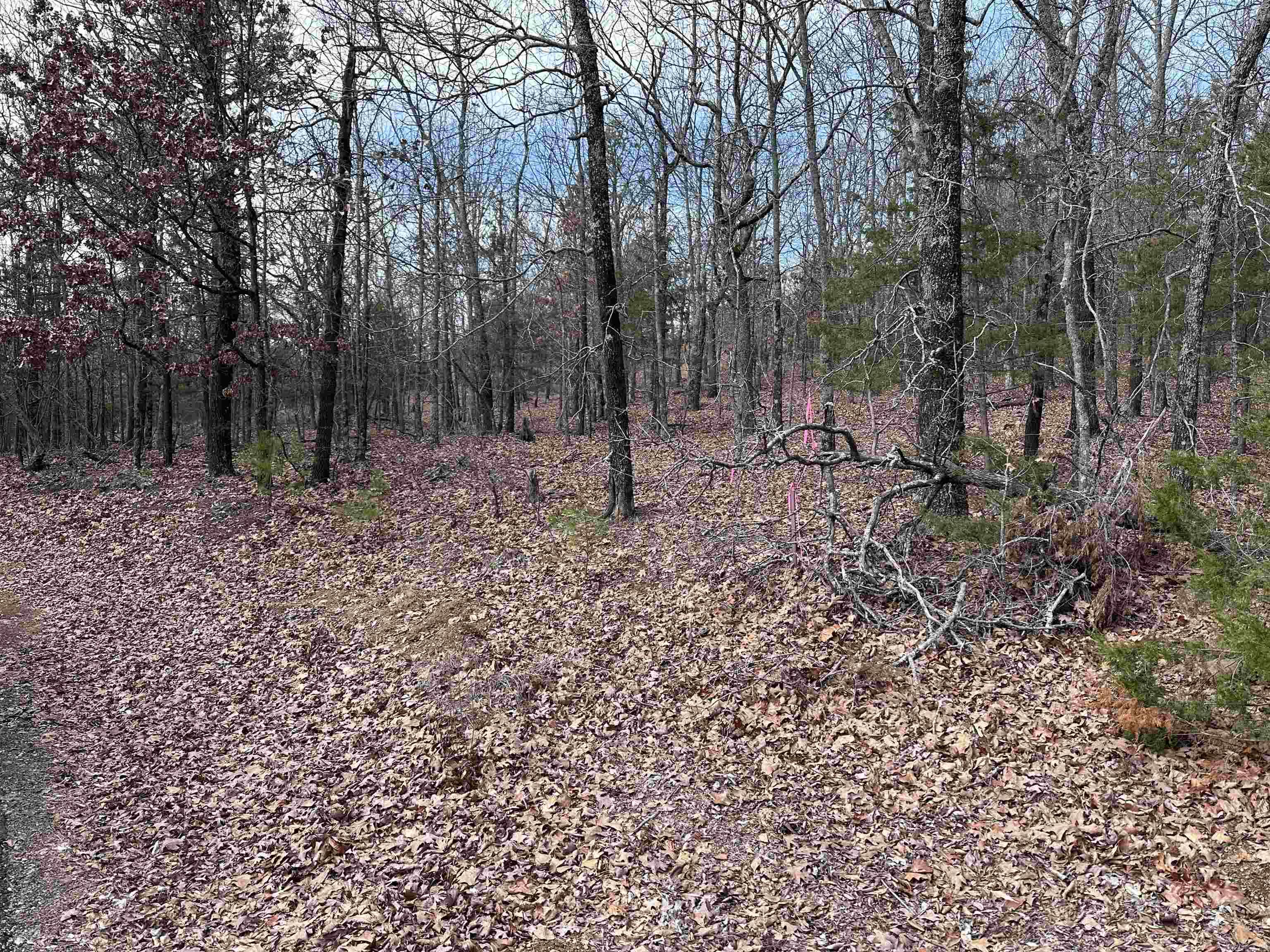 Diamond Bluff Estates East - Land