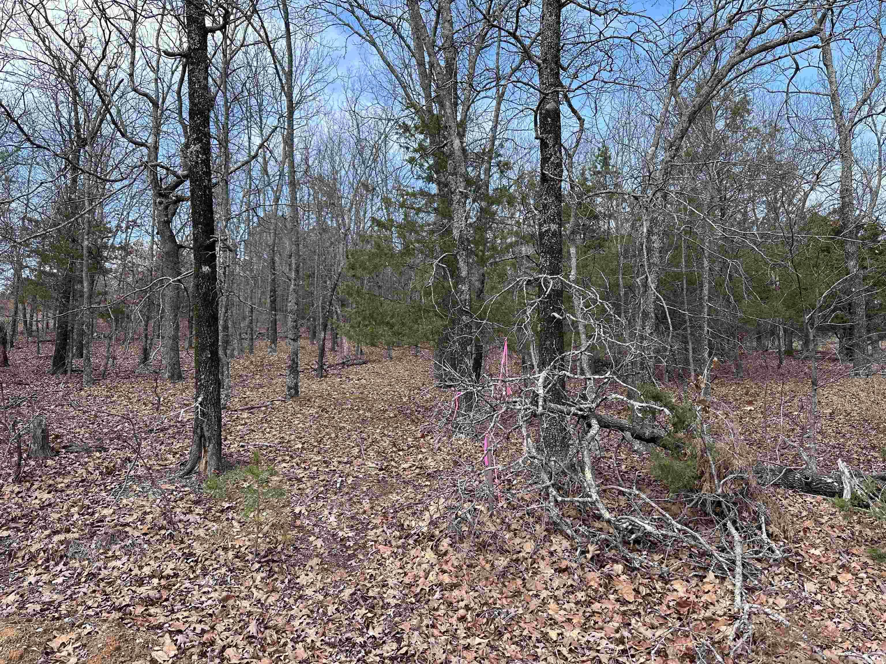 Diamond Bluff Estates East - Land