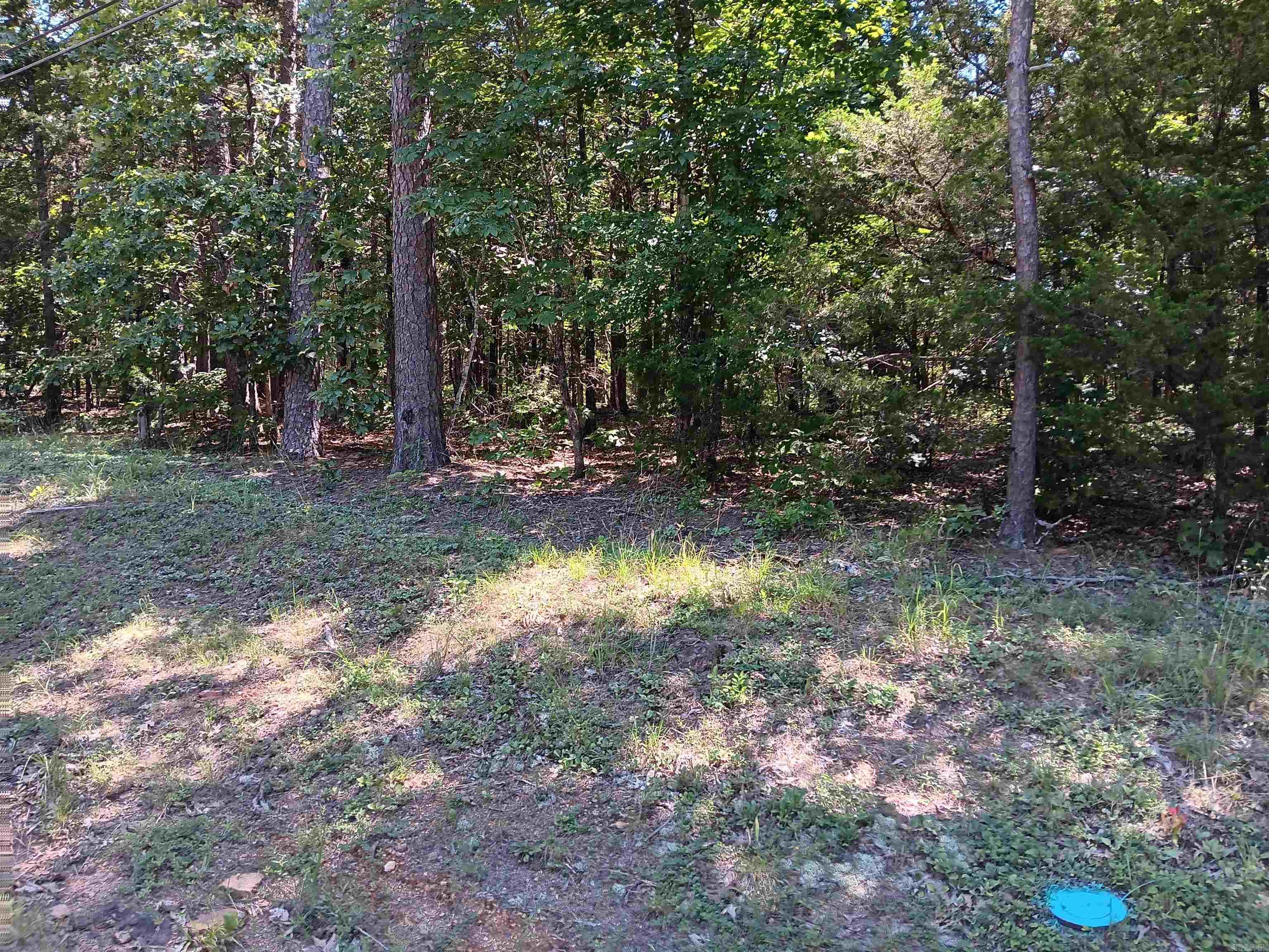 Nice wooded lot in a resort area. Close to lake !! Electricity and water available.