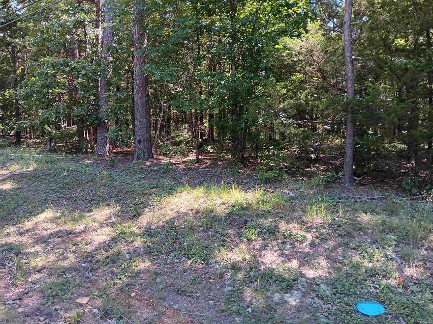 Nice wooded lot in a resort area. Close to lake !! Electricity and water available.