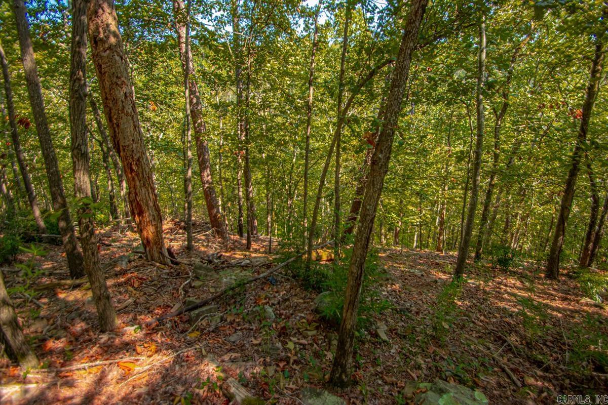 WALTON HEIGHTS - Residential