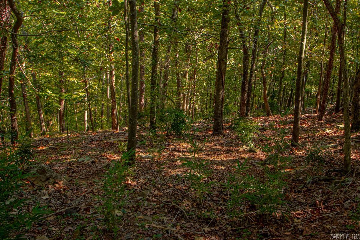 WALTON HEIGHTS - Residential