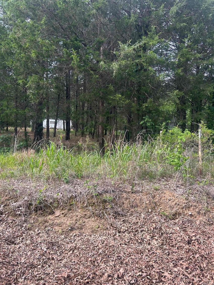 Wooded acreage with places to build your forever home!  Connects to 1000's of acres of great hunting property! Wild game galore!  Contact Tim Wilf with Wilf Realty at 501-940-6746 for any additional information!