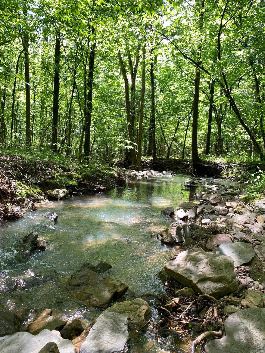 A beautiful 8.42 acre (m/l) tract of wooded land with wet weather creek and timber. Only 3 miles from the Hagarville Store and one mile from Little Piney and Big Piney Rivers where you can camp, swim and so much more!! Rural water and electric located right at Hwy 164 bordering the property. Perfect location for a getaway!! Call today for your showing!!