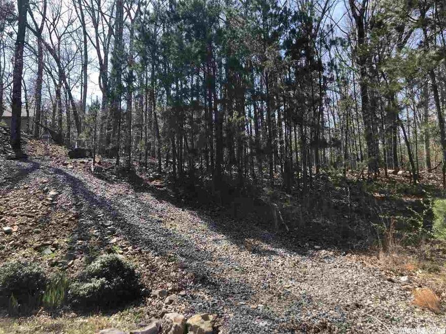 Cul-de-sac lot in nice neighborhood to build your dream home in west little rock , go and check out and make an offer, with an accepted offer the buyer is going to provide a new survey.