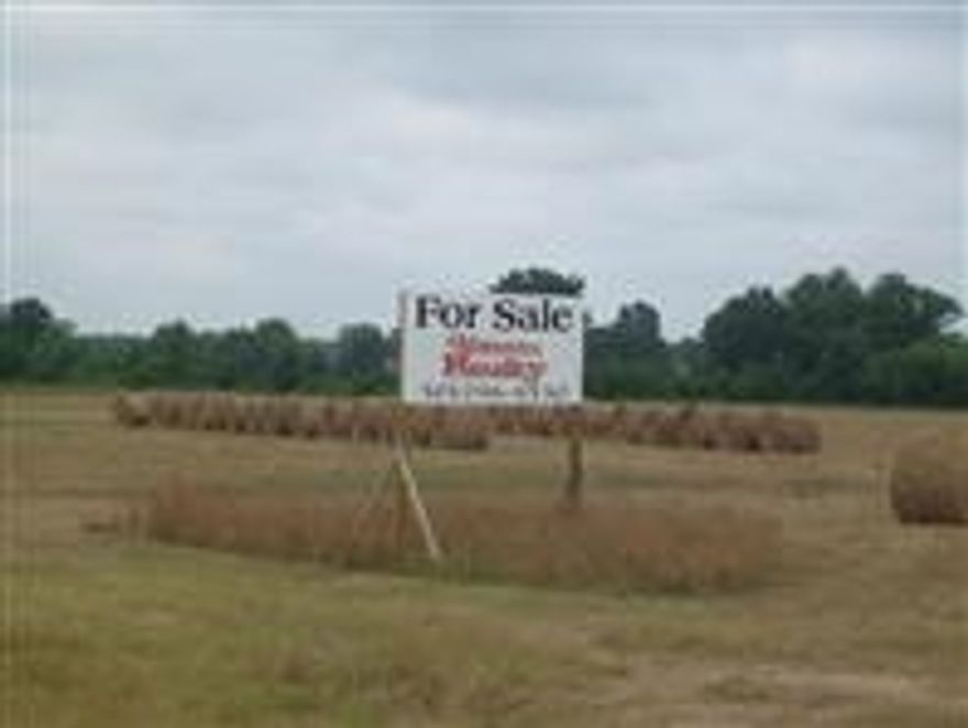 Great property for potential investment / commercial site.  Located just minutes from Either Beebe or Vilonia.  Only a few miles from the Hwy 5 / Hwy 64 intersection at El Paso.