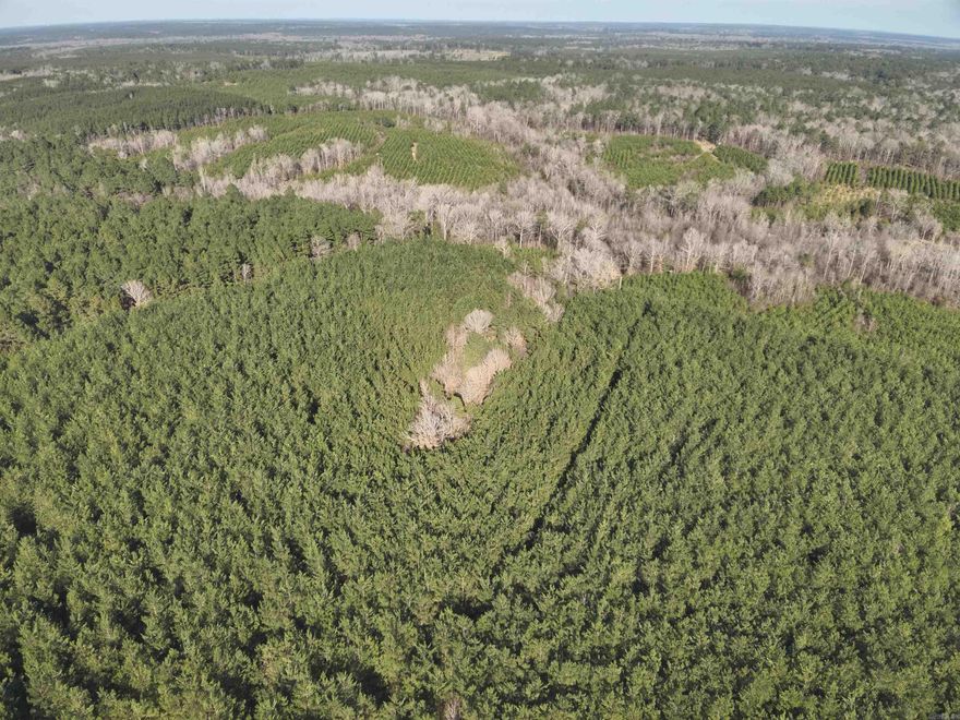 The Frog Shack Road Tract (#03019-04048) is a ~61 acre tract of timberland less than two miles northwest of Stephens, AR in southwestern Ouachita County. the property is bisected by Ouachita Road #1 aka "Frog Shack Road", a paved county road. Some utilities can be found along this paved county road allowing for camp/home site potential within the Camden-Fairview School District. Roughly fifty acres of the land were planted around th year 2012 and have yet to be first-thinned. Another 10 acres feature an assortment of more mature natural pine and hardwood drains. Less than two acres are taken up by roads and an oil well site on the western side. The property consists of well-drained rolling hills. According to the USDA Web Soil Survey, the property is based upon an assortment of sandy loams which give the land a weighted average soil site index of 83.5 feet for Loblolly Pine (base age 50 years). If you are looking for a nice southern Arkansas recreational hunting land tract with long-term timberland investment potential, then this tract may be for you!