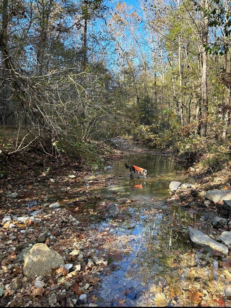 Rugged and so beautiful, this 20 acre property is for someone who loves adventure. There is a flat point on which it would be really cool to build a cabin and enjoy a nearly 360 degree view or choose another equally intriguing location. Watch the sunrise with your coffee, enjoy the sunset with a glass of wine, and in between tackle an exhilarating hike into the valley with the creek below. This property is unrestricted and wildlife is abundant. Surrounded by more equally wild property this beauty is surprisingly convenient to the Ozark Folk Center and the Courthouse Square in Mountain View and is just a few miles from the White River. Utilities are not on the property, but are close by. If you are longing to hear the call of the wild come check this out!