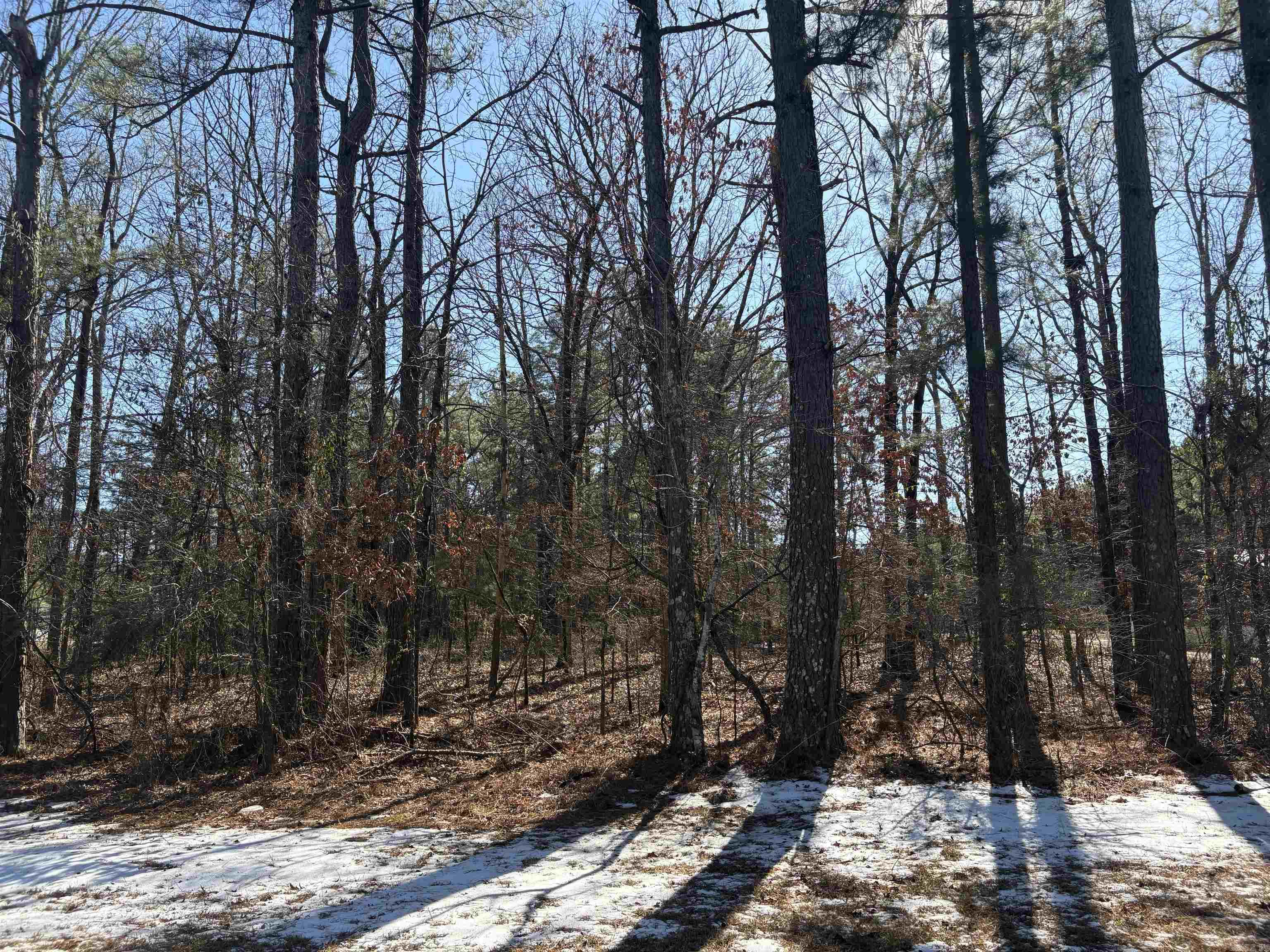 Metes & Bounds - Land