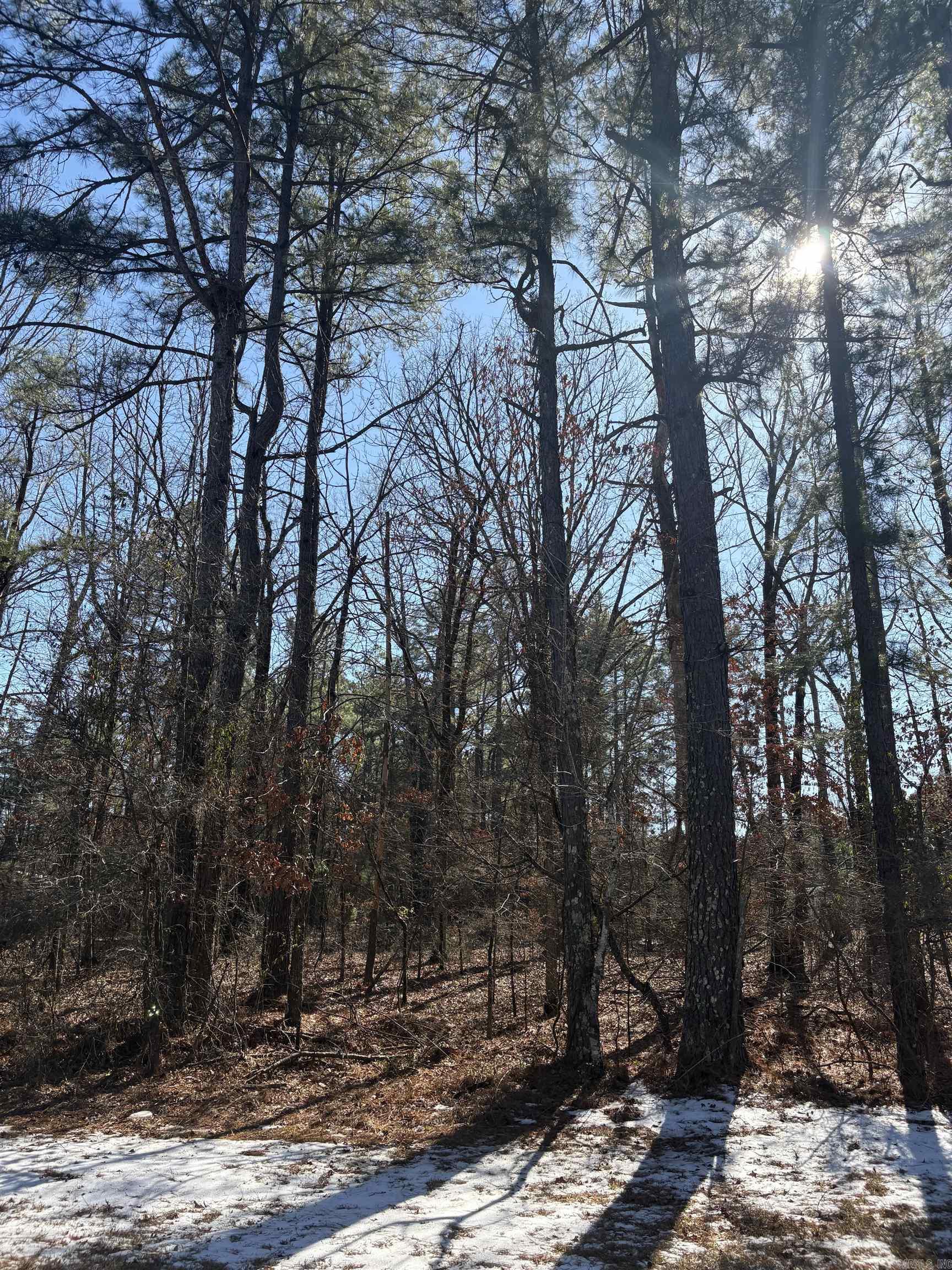 Metes & Bounds - Land