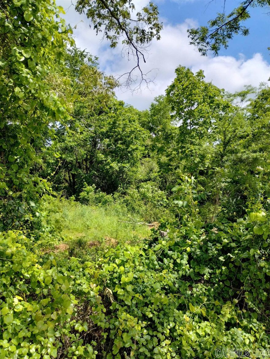 PERFECT LOCATION for your site built getaway cabin or forever homestead.  A nice 3.25 ± acre near Center Point school.