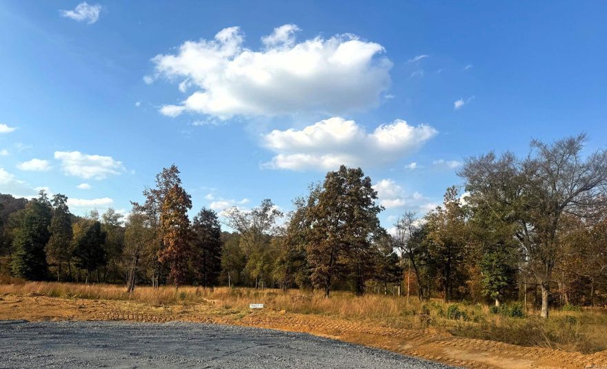 Perfect place to build your dream home!! Large building tracts in a quiet and secluded area, yet close to town! Beautiful homes surrounding this new area.  Road to be chip sealed by developer.  Minimum build 2200 heated and cooled sq feet.  Beebe School District.