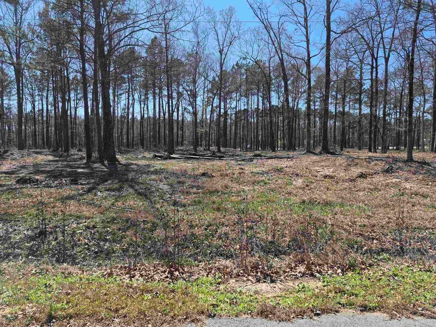 Convenient location to build a new home! Land has been partially cleared while leaving mature trees for shade.  An additional acre could also be purchased! Quiet street at the end of a dead end road.  Take a look!