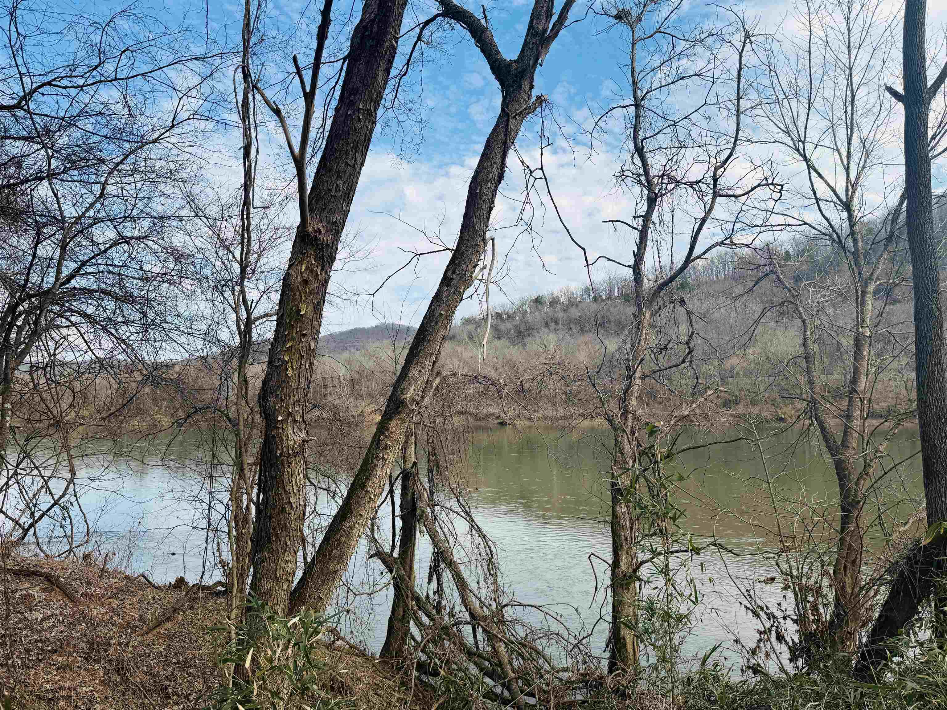 OWNER FINANCING AVAILABLE: This 1-acre riverfront property on the famous White River offers 130 feet of river frontage. It’s in an excellent location just 1.5 miles upriver from JoJo’s Restaurant and Jack’s Trout Dock, and only 2.5 miles upriver from Angler’s Restaurant and boat dock. With access from Highway 5, this tract provides both convenience and breathtaking scenery. Located across the highway from the Ozark National Forest and the Sylamore Mountain Bike Trail, this property is also just minutes from Blanchard Springs Caverns and the Ozark Folk Center, making it an ideal spot for outdoor enthusiasts. This lot features a beautiful, cleared building area that gently slopes down toward the river, with mature timber adding natural beauty and privacy. If you love the Mountain View, Arkansas area, and want to own a prime White River property, this tract is for you! Whether you want a great weekend getaway location or a permanent riverfront retreat, this property is a rare find at just $95,000. The owner is also offering financing on this tract with a 15% down payment. Don't miss your chance to own a piece of the Ozarks—contact us today!