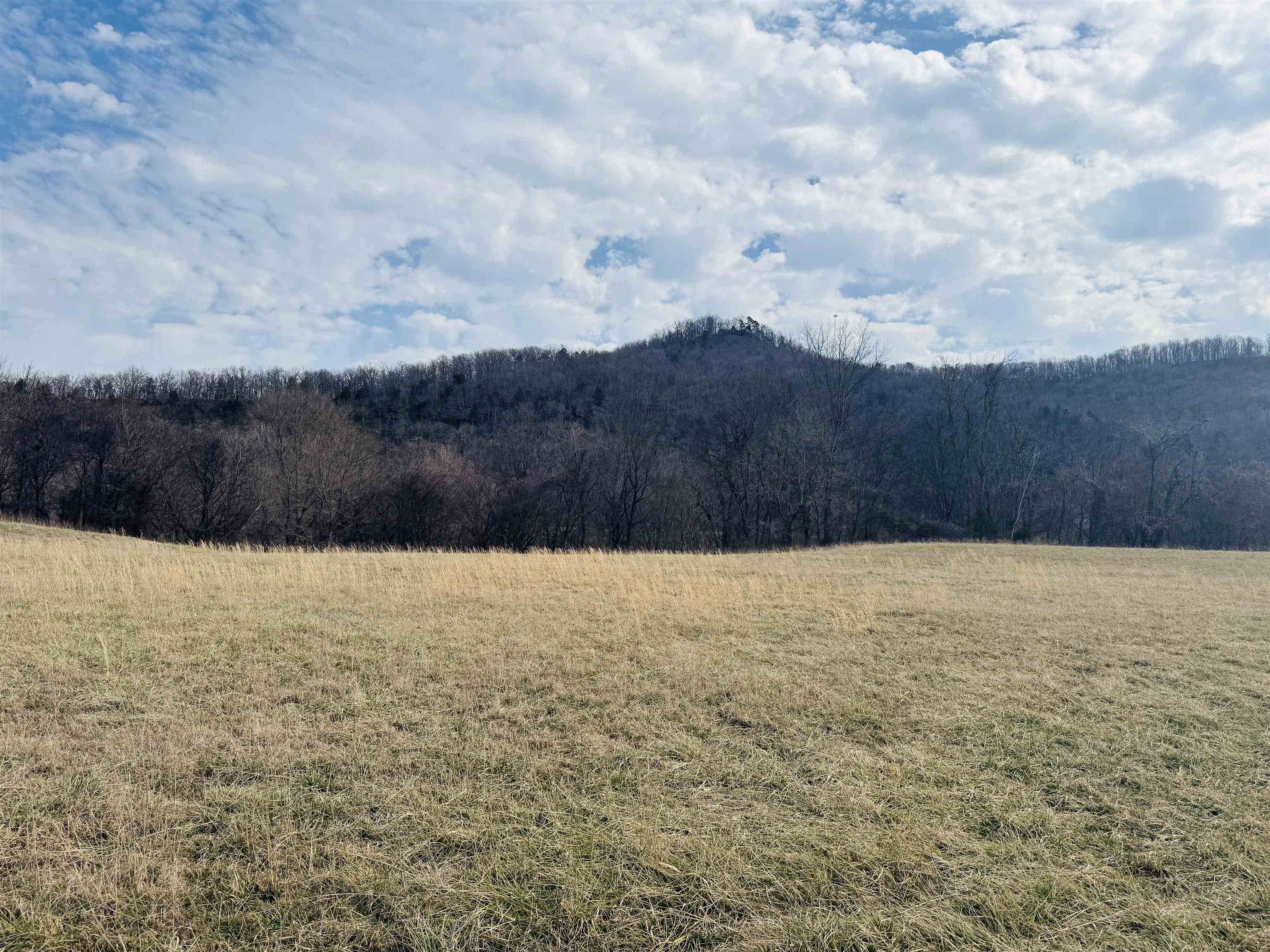 River Oaks - Land