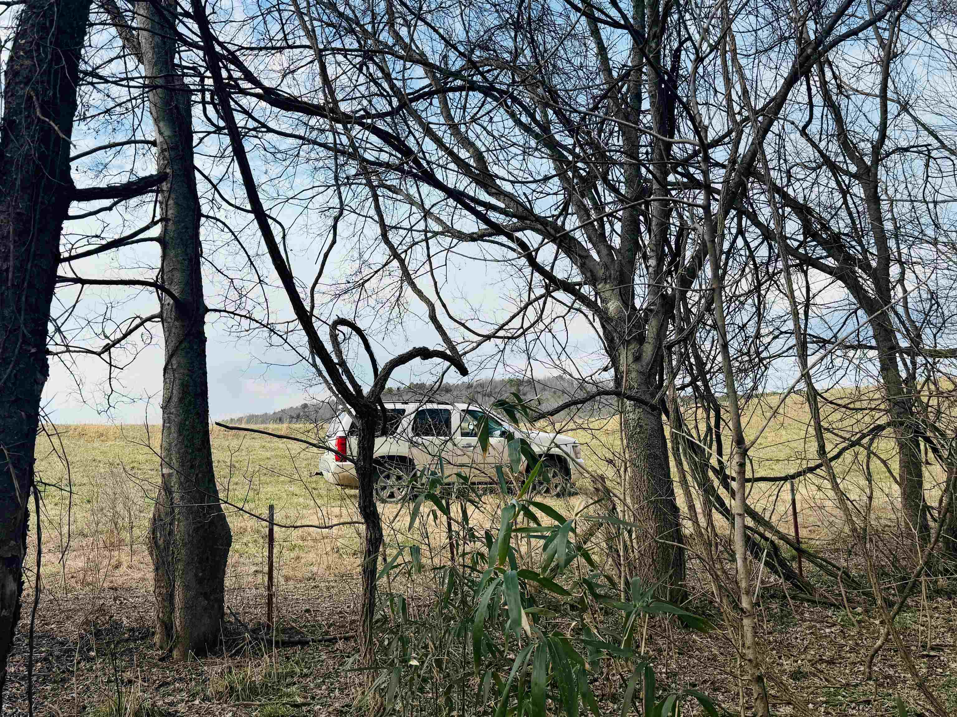 River Oaks - Land