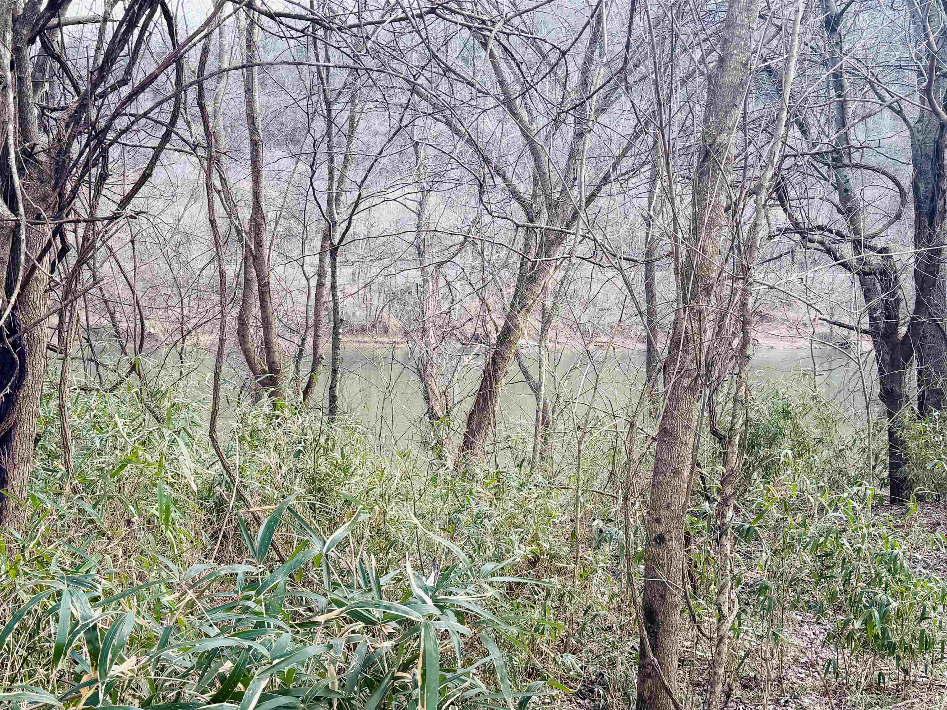 River Oaks - Land