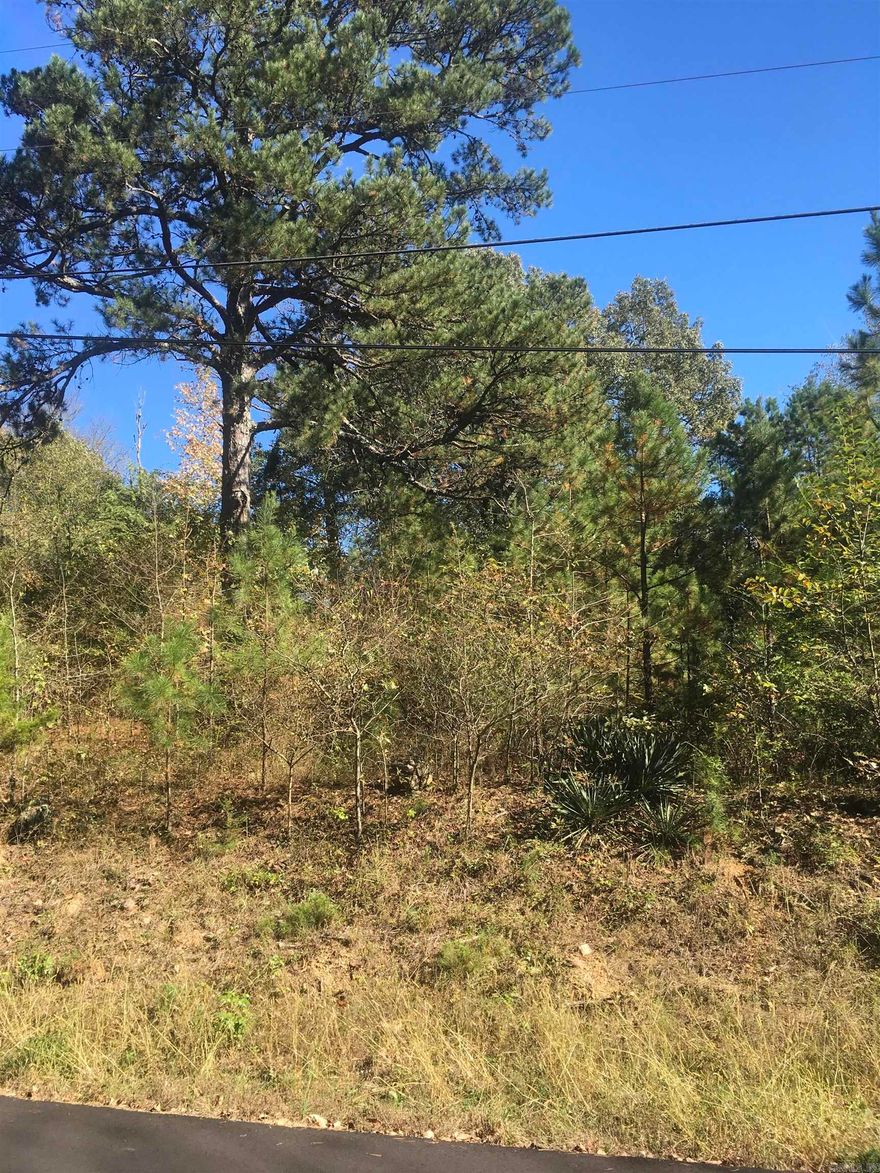 Build your beautiful new home on Lots 1&2 of the subdivision of Whispering Pines, conveniently located in downtown Mena. Utilities are available on Amsterdam street.