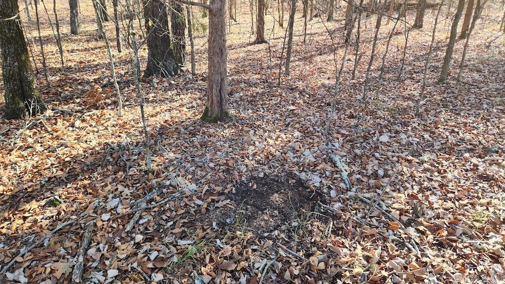 Not in Subdivision - Land