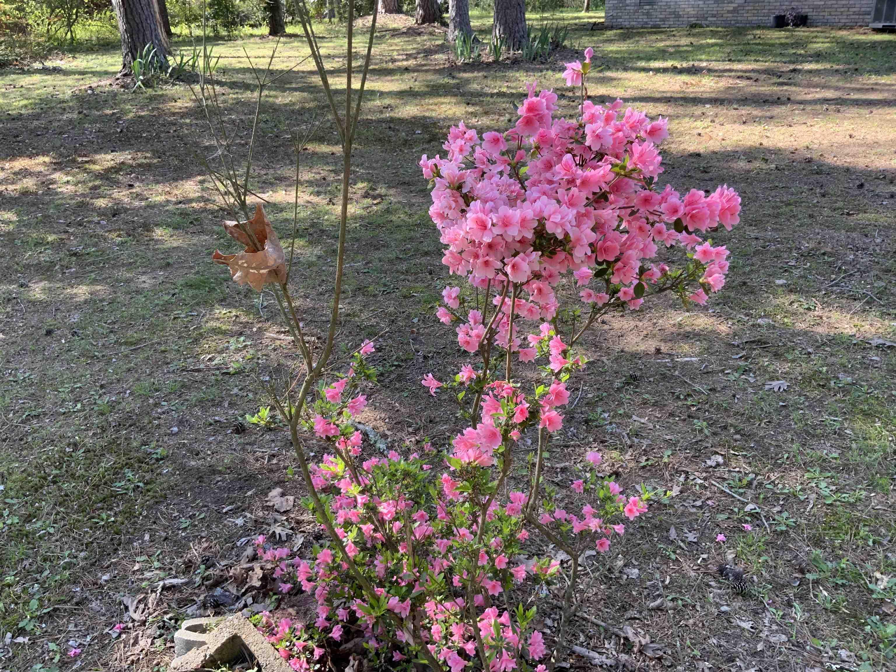 Heber Springs - Residential