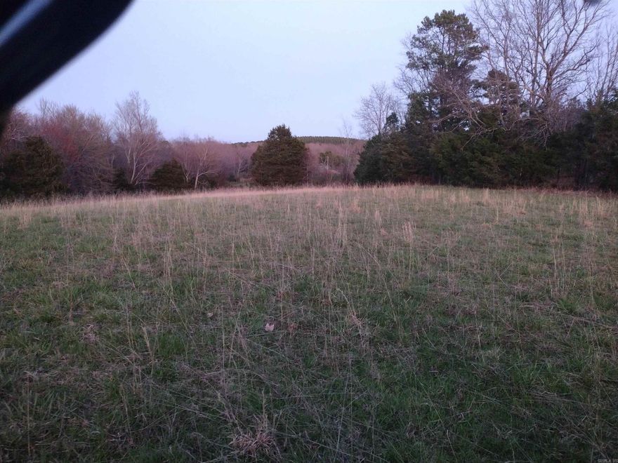 Great hunting and pasture with lots of privacy