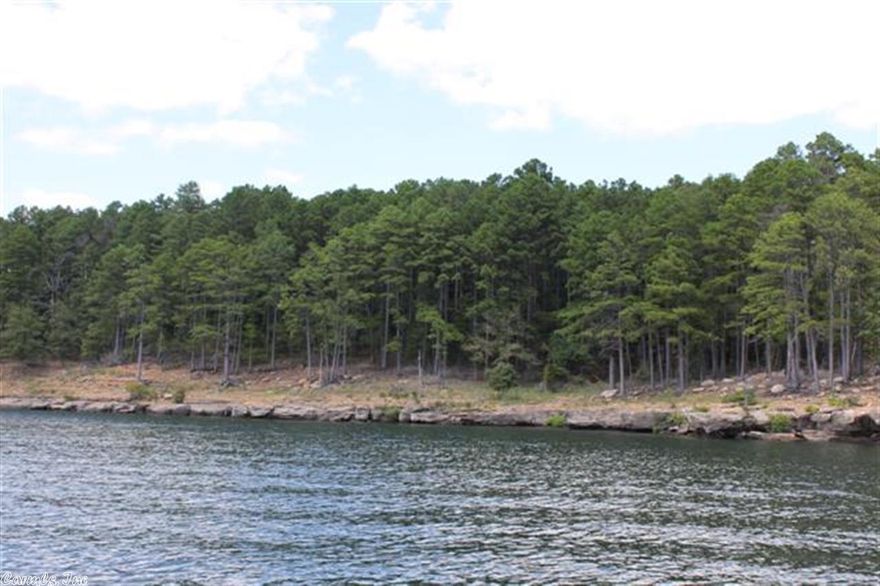 Great Lakefront Lot with excellent red and white lines.  Located on the S end of Silver Ridge Peninsula.    Front Row seat at annual 4th of July fireworks show.  1/2 minerals will convey if owned by seller.