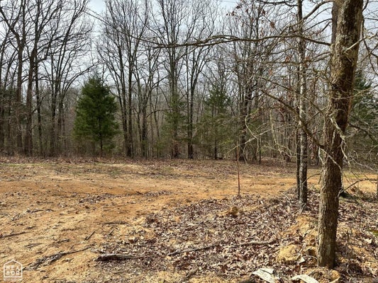 LOT 4 RABY ROAD, HARRISBURG, AR 72432 - Image fedb07f213fe80204a4d3bc4efd5ddb8/3837703173