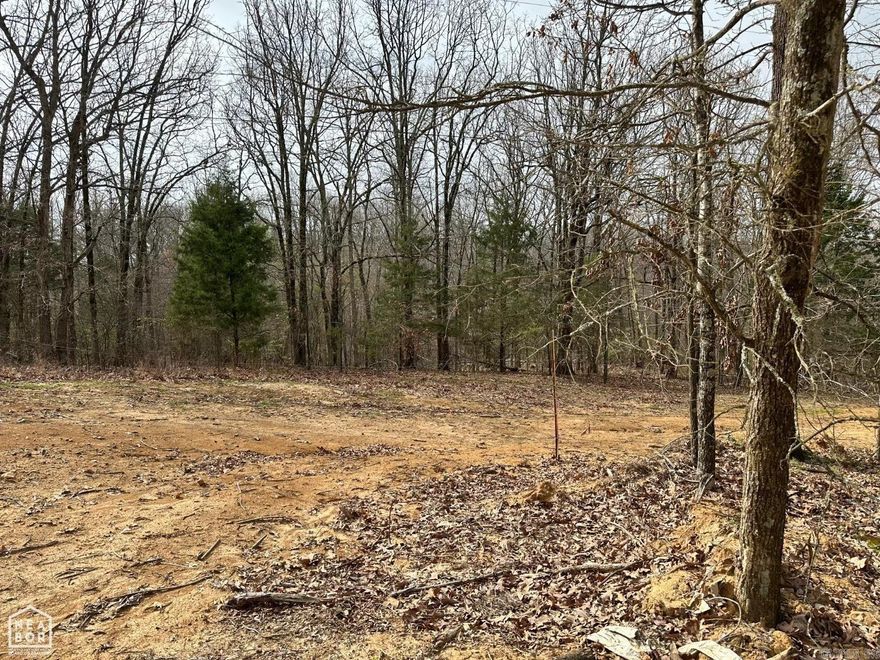 This is a wonderful opportunity to have your own acreage close to Harrisburg and Jonesboro also. Not too far out but far enough to be very comfortable country living and maybe even own cattle if you choose! Water and electric is available at the road.