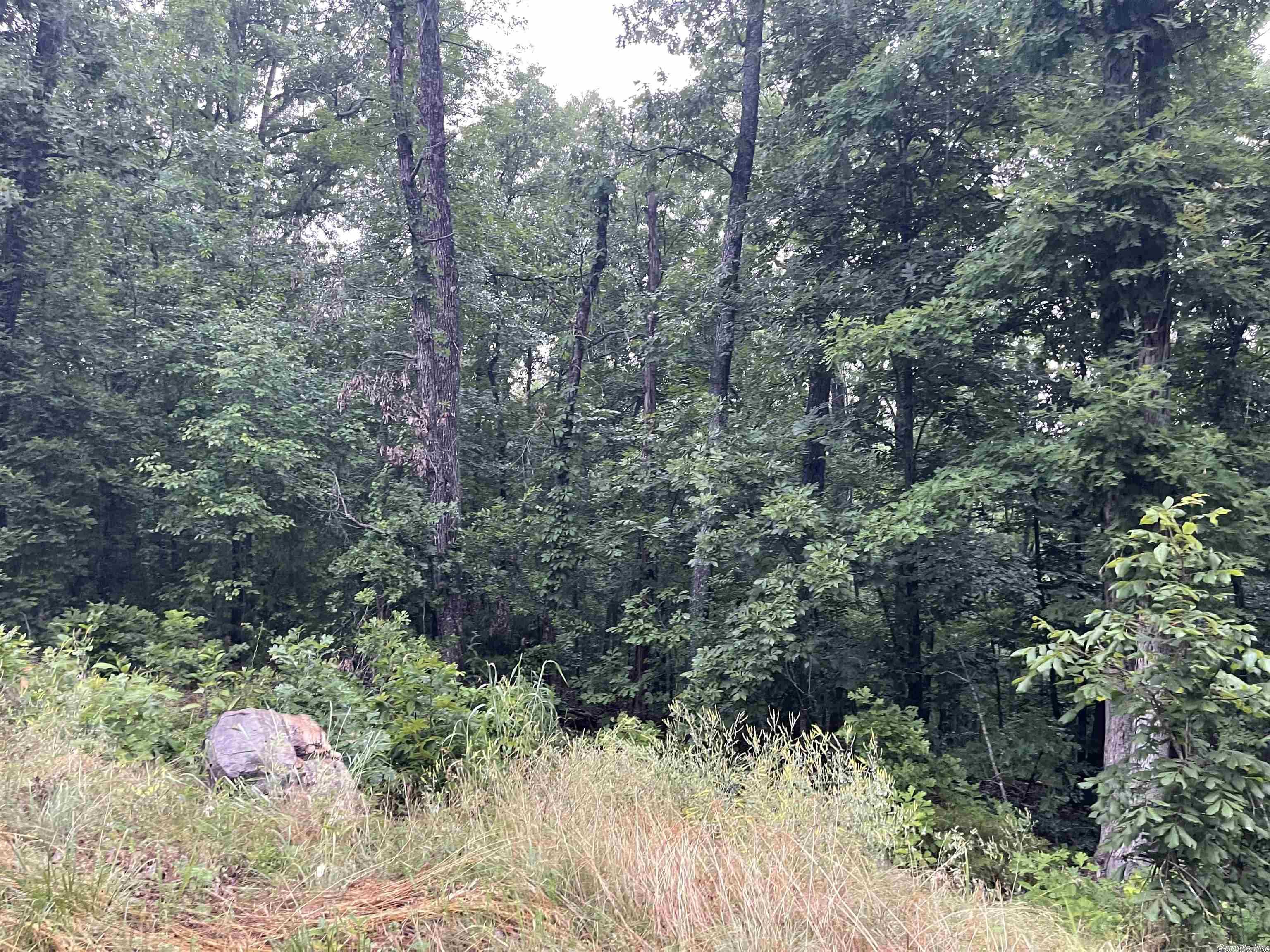 Seminole Second - Land