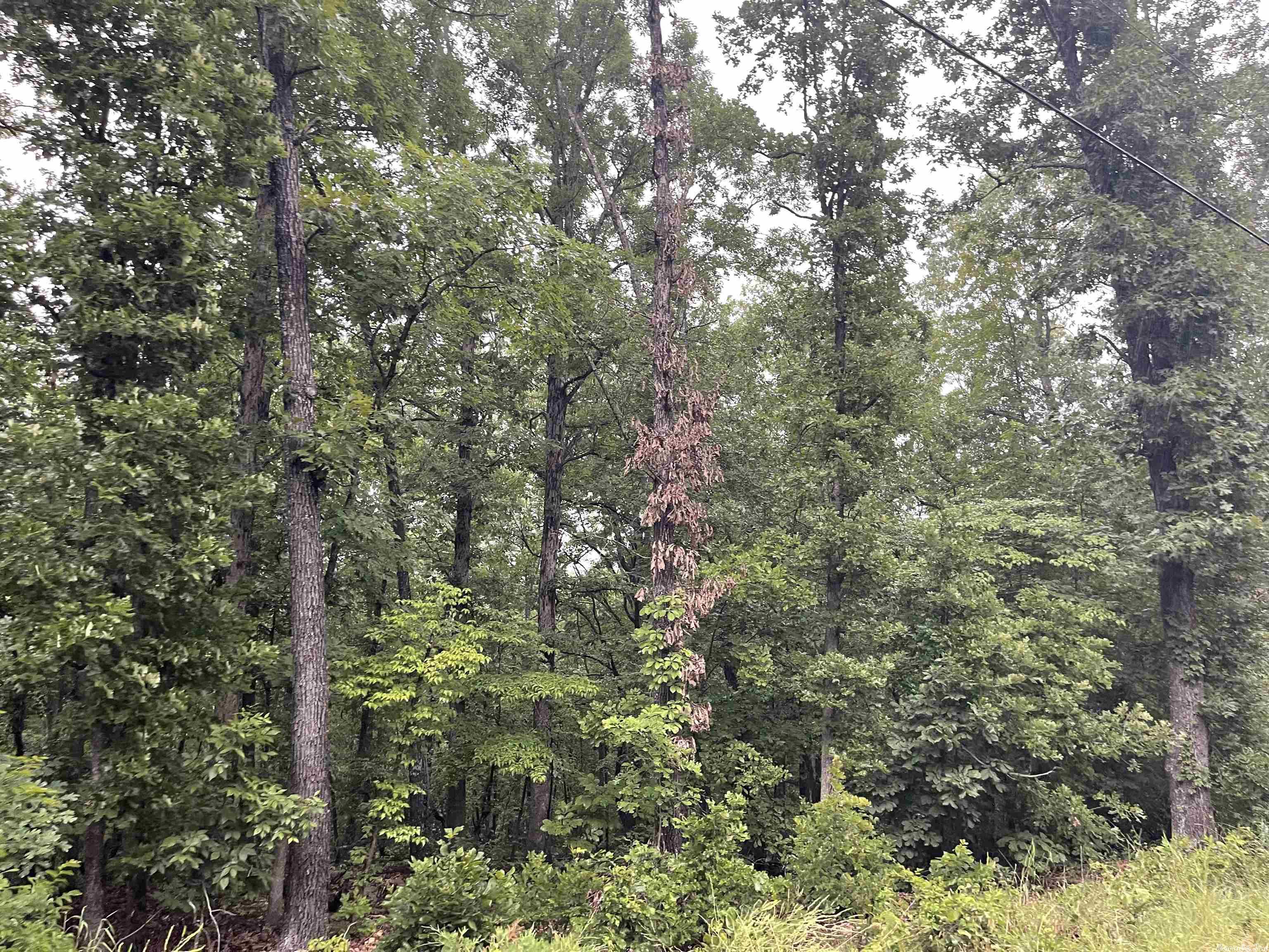 Seminole Second - Land