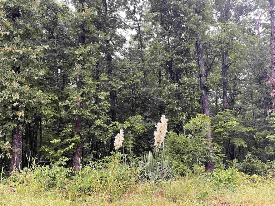 2 adjoining vacant lots.  Surrounded by trees with no neighbors  Great location. One lot has had perc test in the past.  Lot purchase gives you access to 7 lakes, 2 golf courses, and 2 recreation centers with pools.  Enjoy the laid-back atmosphere of living in Cherokee Village.  Minutes to Hardy, AR for antiquing, canoeing on Spring River, and fellowship.