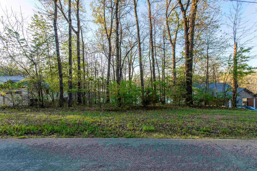 Prime Lakefront opportunity: Serenity awaits at Ozark acres. This undeveloped lakefront lot provides the perfect elevation to build your new Lake home in the Ozarks. Lot would be ideal for a walk out basement to provide plenty of room for guests and entertaining. If Lakefront lifestyle is what you are looking for this is your blank canvas to make it exactly the picture you would like. Beautifully wooded, offering privacy and a sense of immersion in nature, you are never far from modern comforts. The property is governed by a bill of assurance for new constructions. Please note that mobile homes are not permitted, ensuring that the community maintains its high standards and desirable surroundings.