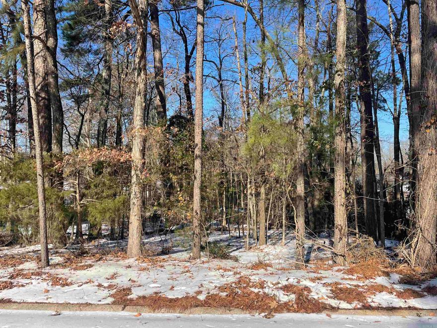 Located in Vivian Manor, one of the most sought after neighborhoods in Monticello. This could be the perfect build site for your forever home.