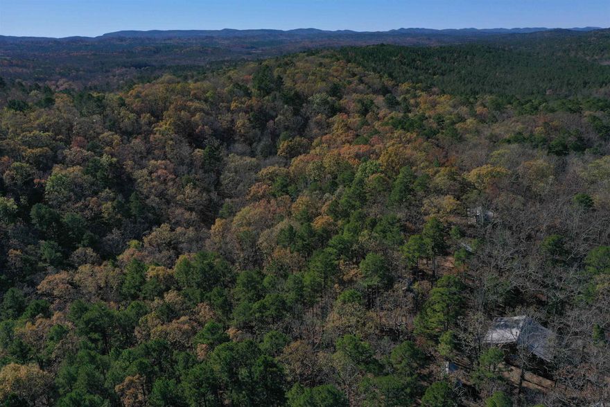 • 160 +/- Acres • Completely surrounded by Ouachita National Forest • 1400 +/- Sq. Ft. Main home • Three Cabins • South Fork Ouachita River Frontage • Great Roads and ATV Trails • Completely off grid • Solar Power for the home and cabins • Great water wells • Mature Timber composed of mostly White Oak • Two year-round creeks in addition to the river • 24’x36’ Pole Barn • Diverse Terrain • Ridges, Saddles, and Draws • Abundance of Deer and Turkey • Twenty Minutes from Mount Ida • One hour from Hot Springs • One Hour from Mena