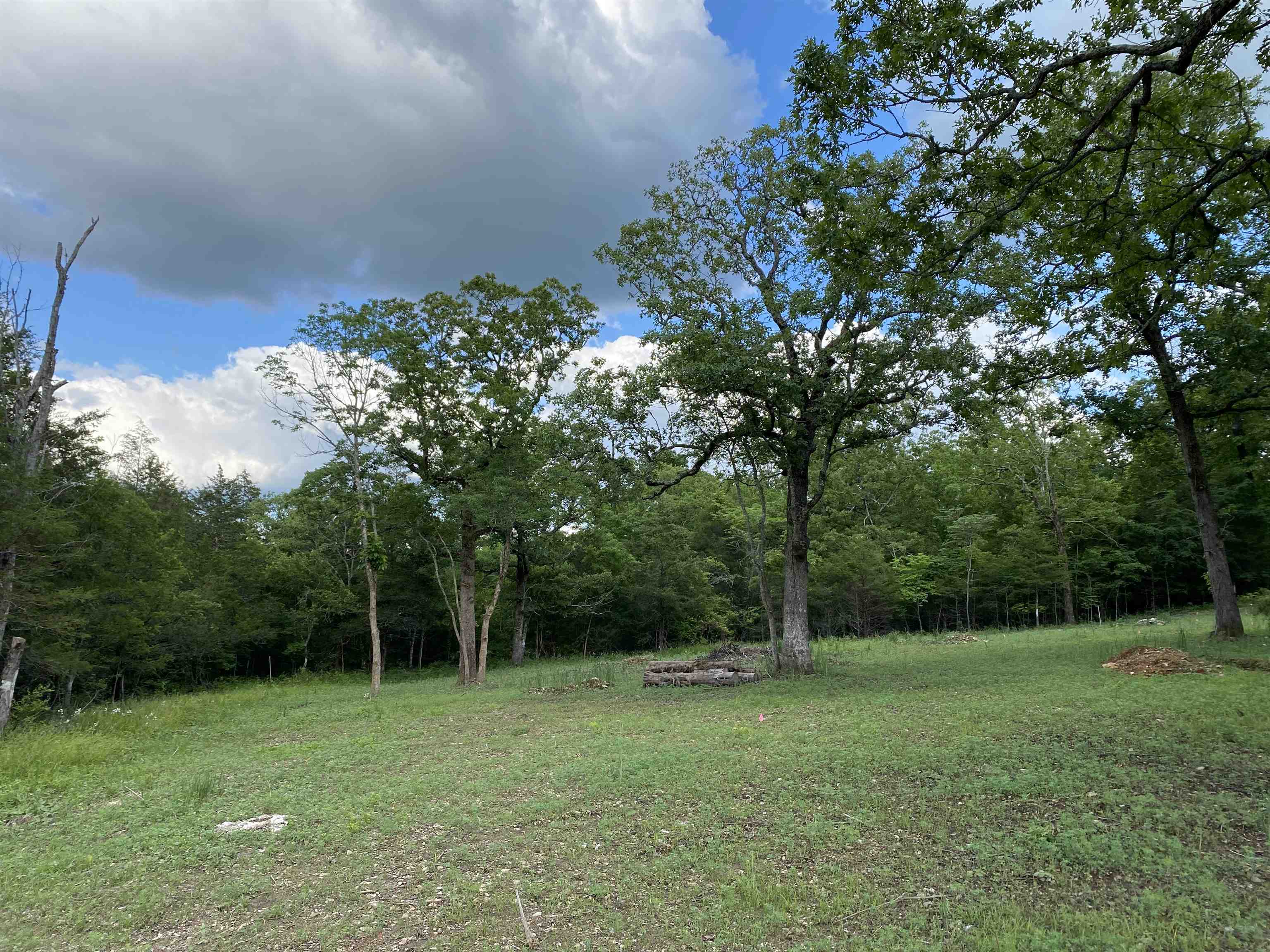 If you are looking for Bull Shoals Lake access this one acre m/l property is it! Within walking distance to lake. Property has been cleared for home. Septic and well marked. Electric across the road! Just waiting on you and your boat!