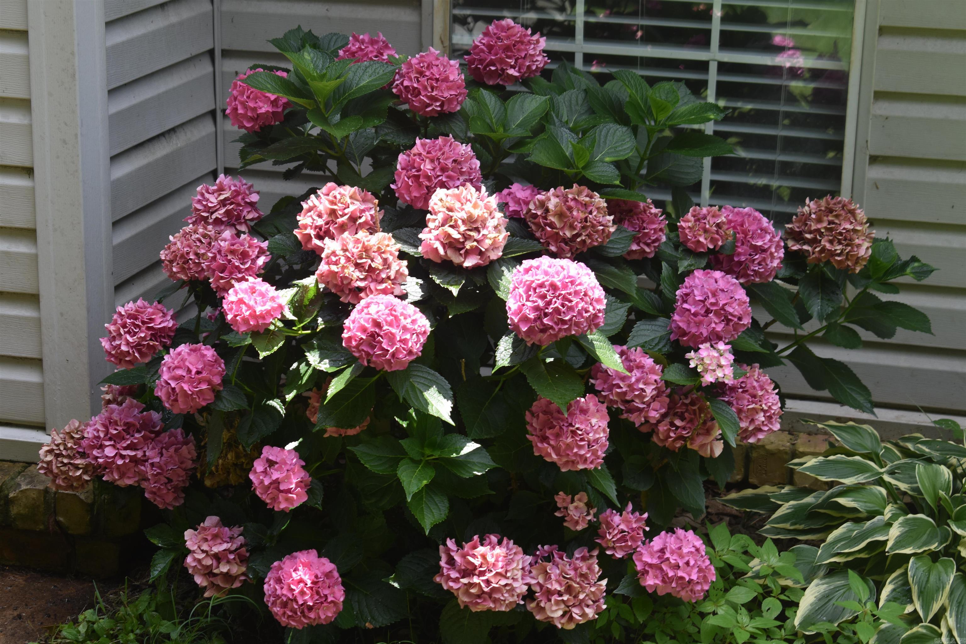 WOODLAND HEIGHTS - Residential