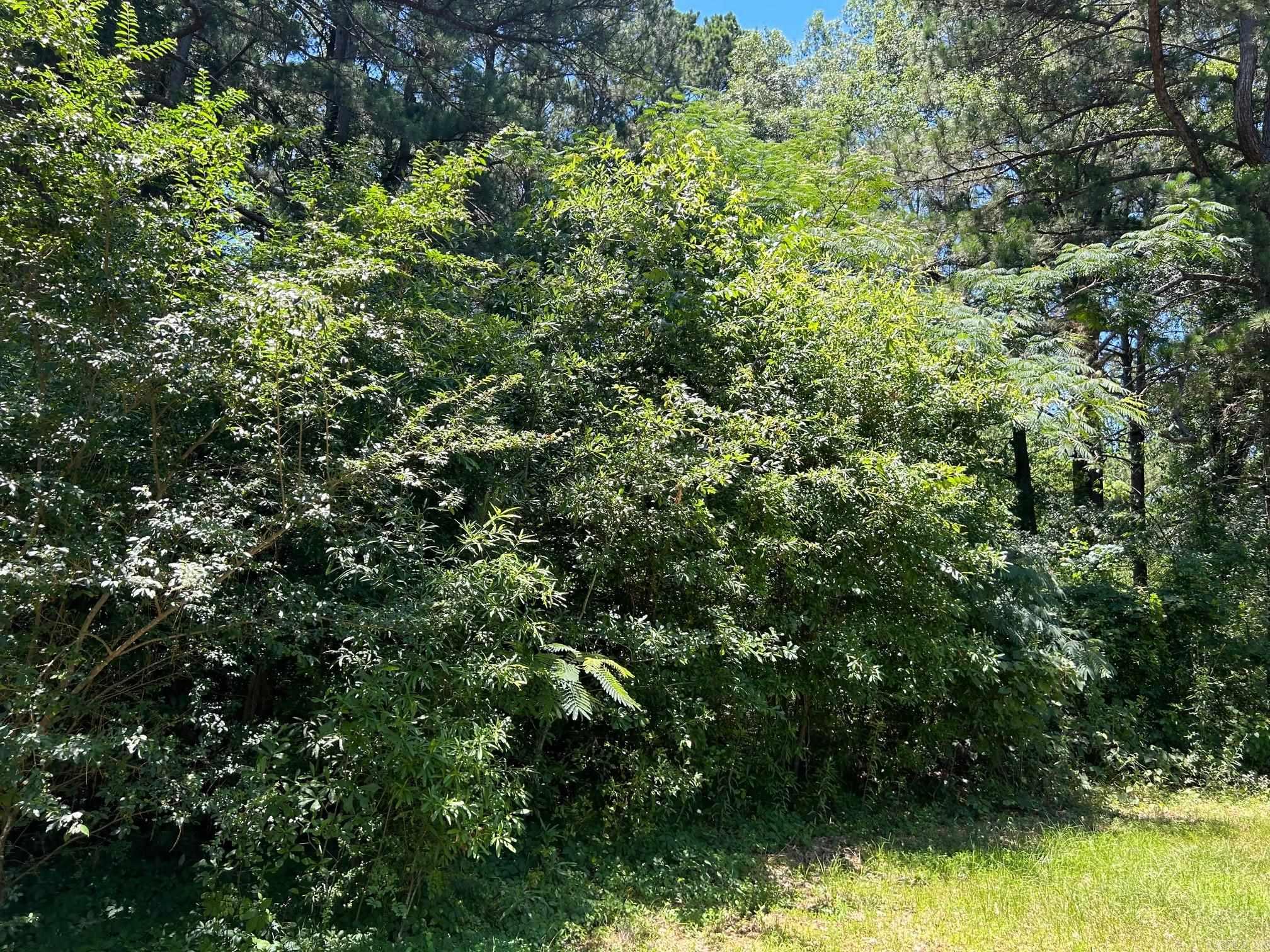 Pine Grove North - Land