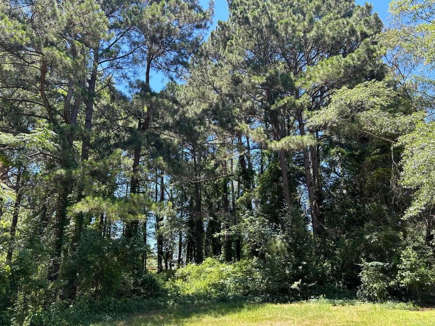 4 city lots*should have all utilities including sewer but please confirm yourself*great location*no flood zone*private street*one lot is on Main Street and three lots are on Robin Lane*see plat under mls docs