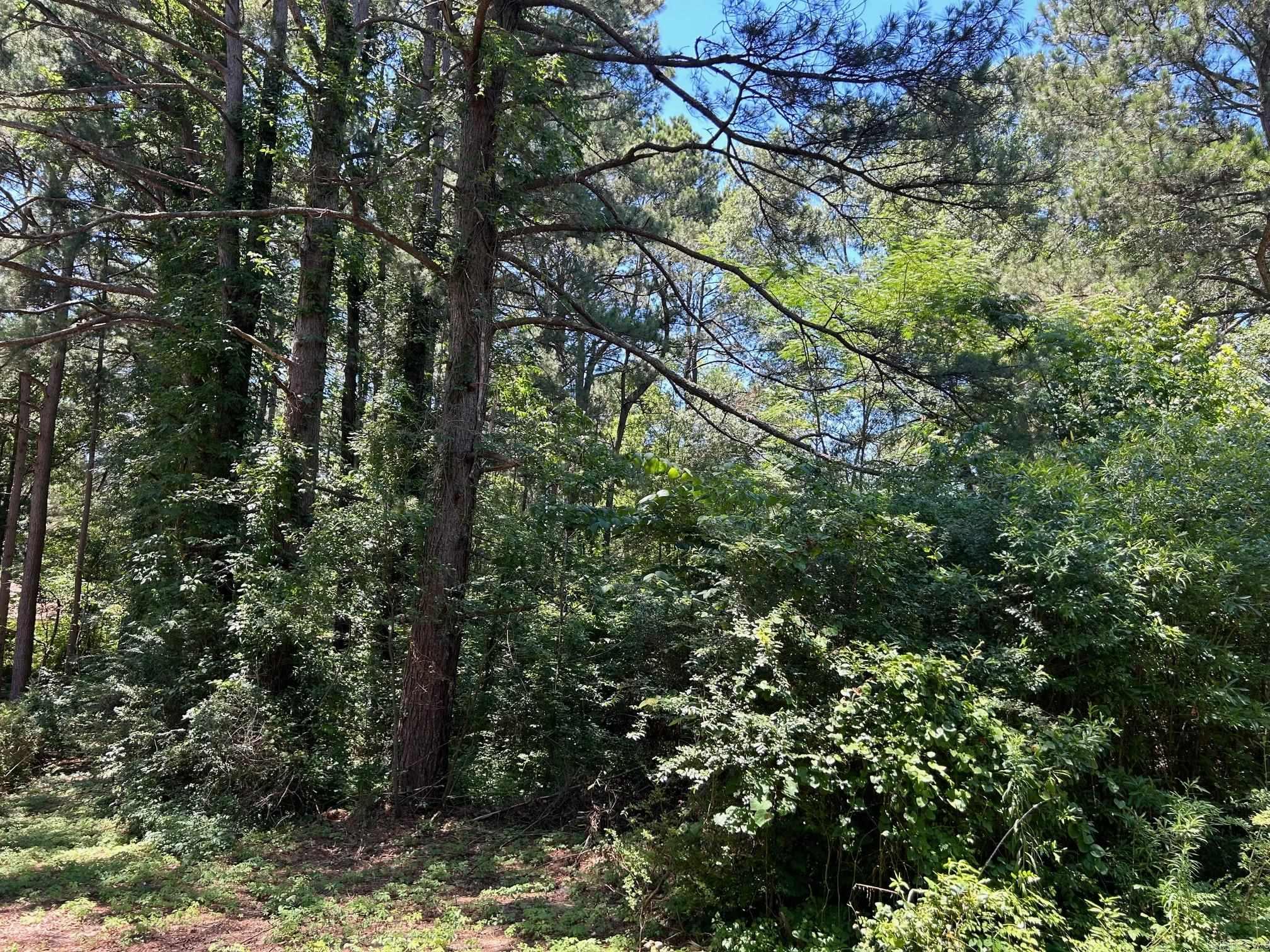 Pine Grove North - Land