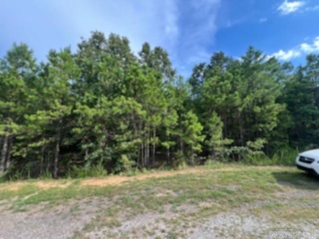 Escape to the peace and privacy of this stunning 40-acre tract, nestled at the end of a quiet dead-end street. This mostly level property features a mature stand of oak trees, creating a serene wooded canopy perfect for nature lovers, hunters, or those looking to build a secluded dream home. A seasonal wet-weather creek winds through the land, adding charm and natural habitat for local wildlife. With a mix of open and forested areas, this land offers so much!