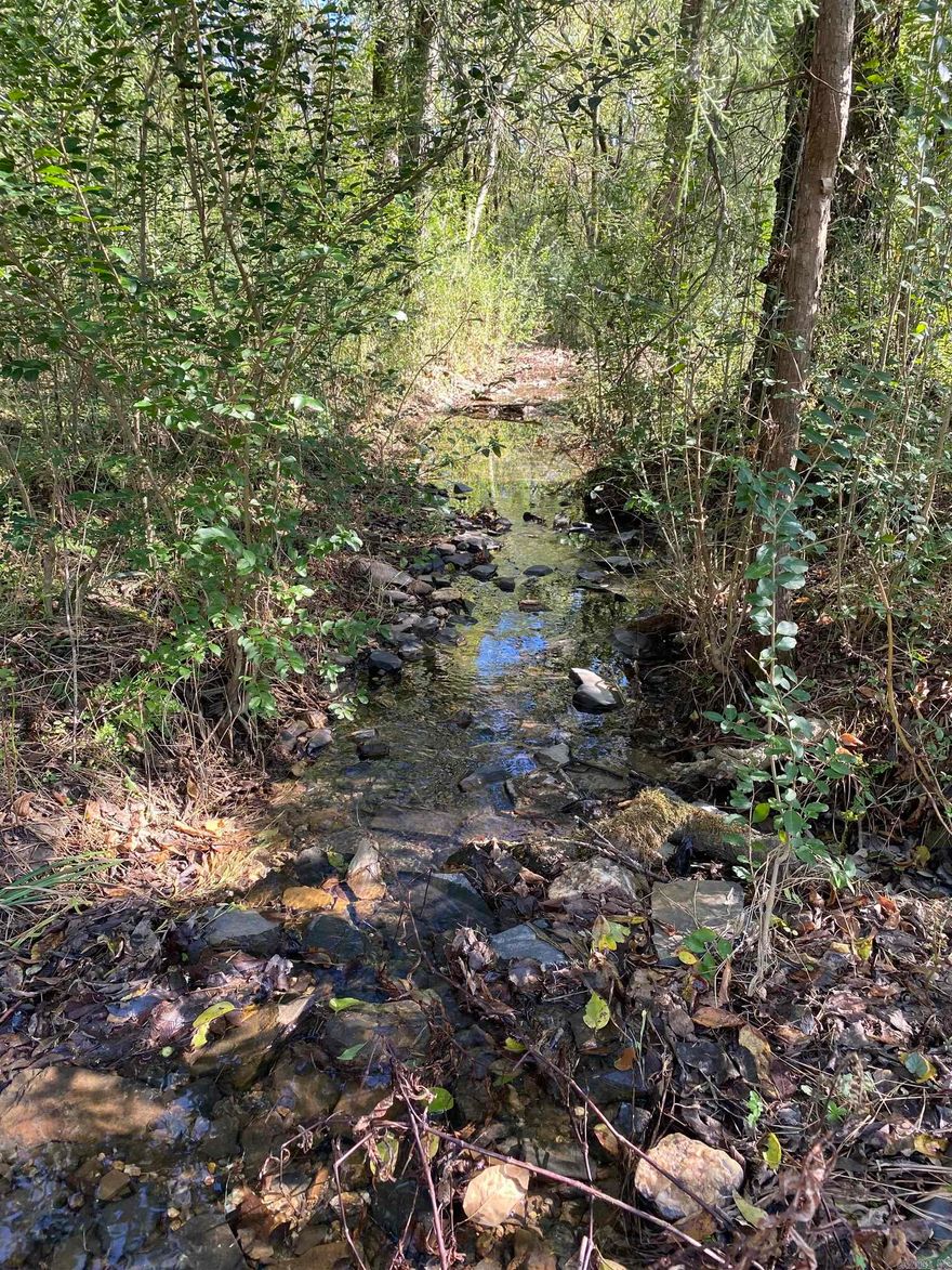 A four-acre lot that is less than 8 miles from Lake Ouachita would be a great option if you’re looking for a property near the lake. This lot has multiple building sites that slightly slope to the front. Wet weather creek on the front with beautiful hardwood trees.