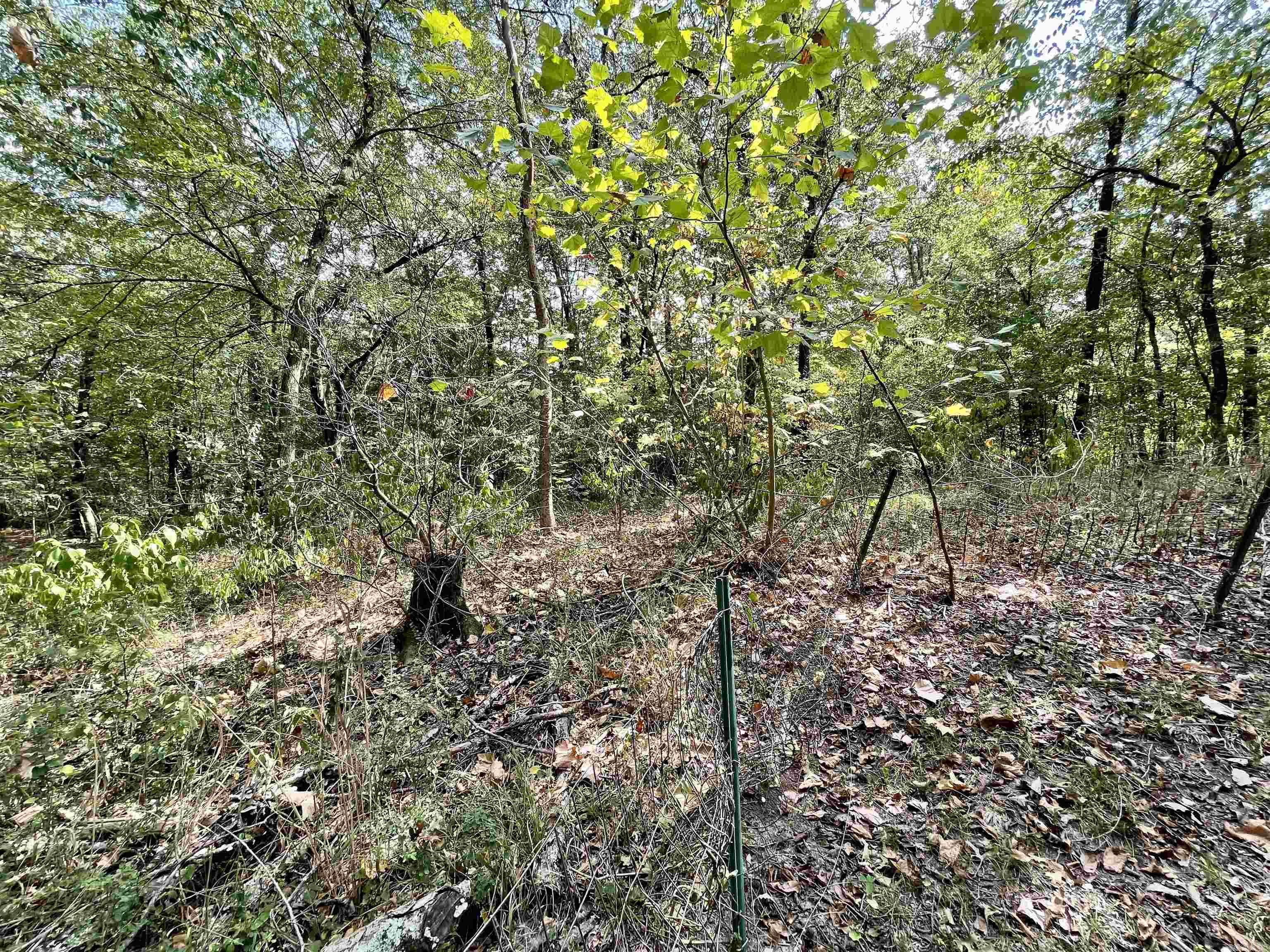 WYLDE WOOD VILL - Residential