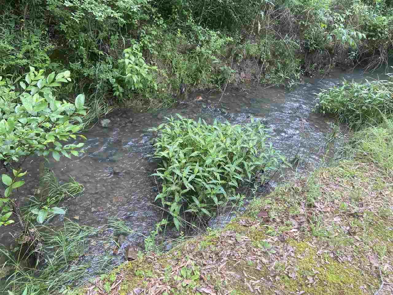 Mountain Pine Outside - Residential