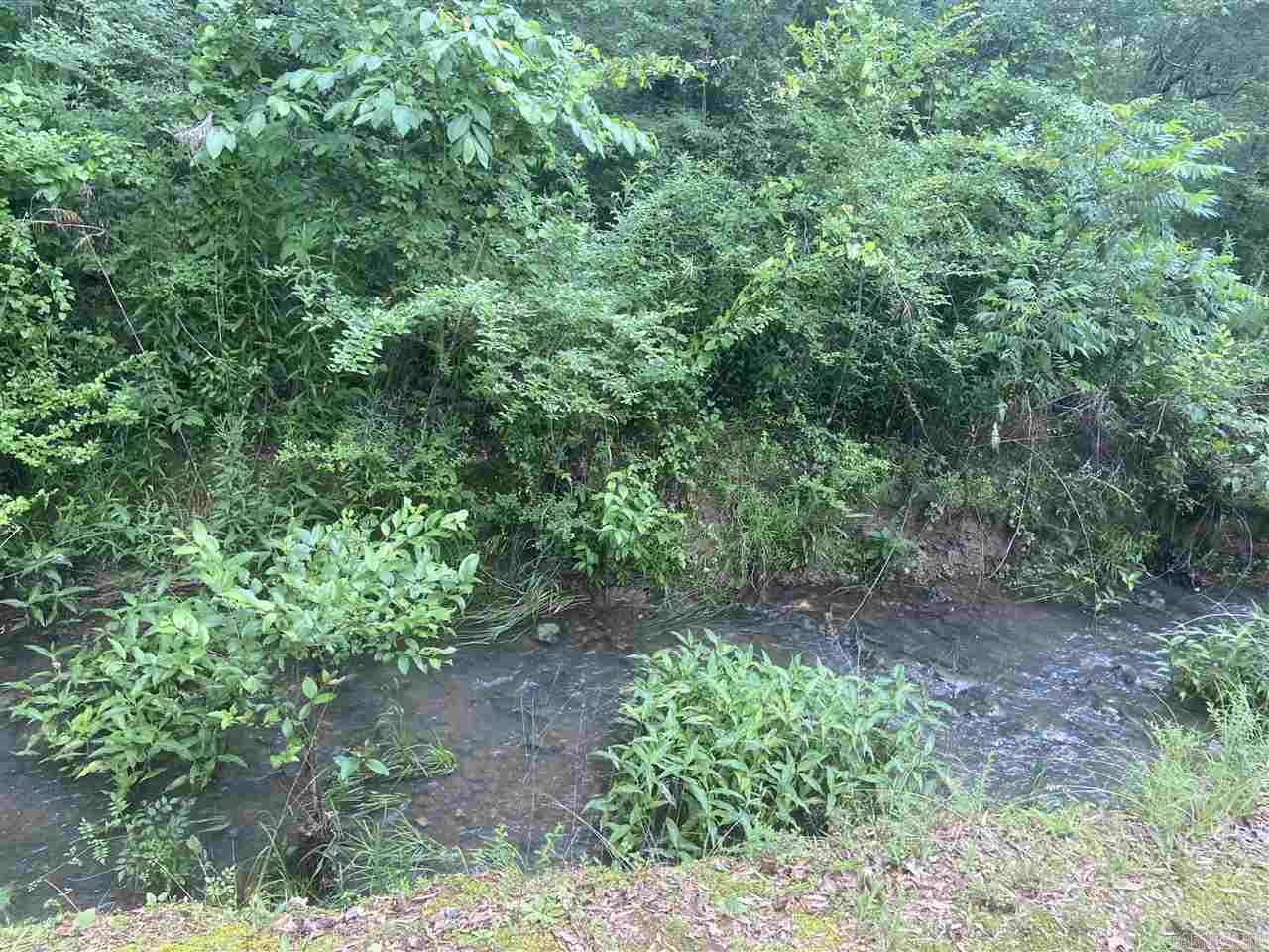 Mountain Pine Outside - Residential