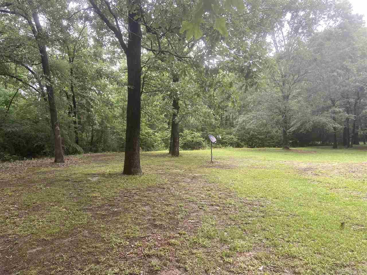 Mountain Pine Outside - Residential