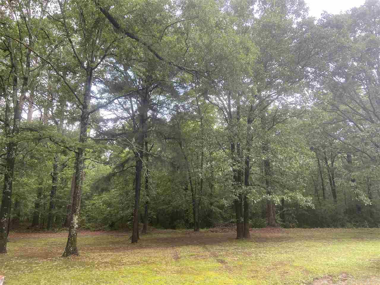 Mountain Pine Outside - Residential