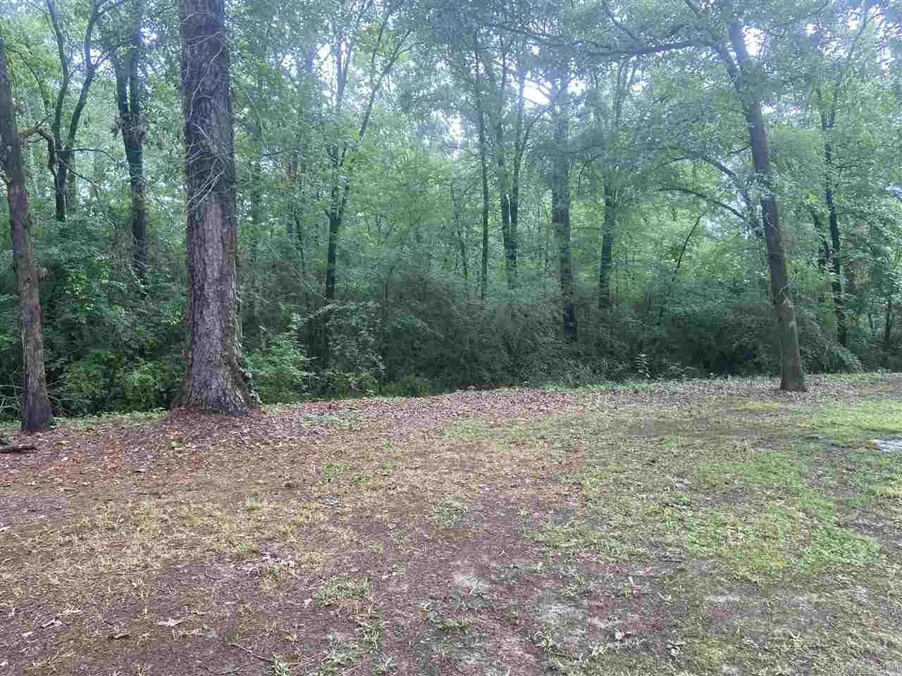 Mountain Pine Outside - Residential
