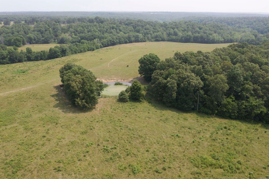 This gorgeous farm is nestled amongst the Ozark hills and offers breathtaking views of the surrounding countryside. Property is located down a county road, away from the hustle and bustle of town life. The farm has a large stocked lake and 5 other ponds scattered throughout the property. A little over half of the place is covered in woods with over 200 acres of grazing ground scattered throughout. Two creeks run through the farm and the seller noted that they haven't ever seen them stop running. The house is a charmer with its 3 beds, 1.5 baths and rock exterior. The farm has several hay fields. Two barns, and three extra outbuildings surround the home either in the yard or close to it. If you are looking for a place to run some livestock with great views and only a few neighbors, check this place out!